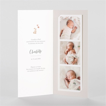 Faire-part naissance champetre - Intérieur du faire-part