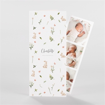 Faire-part naissance champetre - Vue d'ensemble