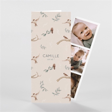 Faire-part naissance sur un arbre perché