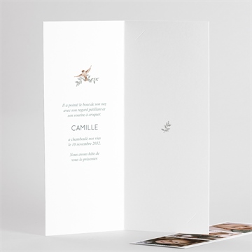 Faire-part naissance sur un arbre perché - Intérieur du faire-part 2