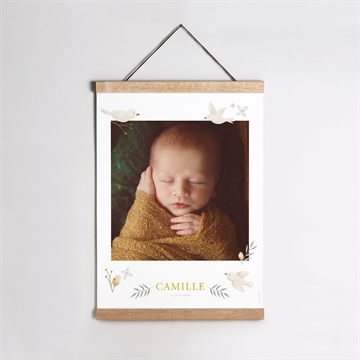 Affiche naissance célébration - argent