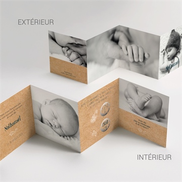 Faire-part naissance on vous présente accordéon - Vue d'ensemble