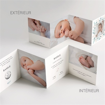 Faire-part naissance esquisse végétale ficelle - Vue d'ensemble