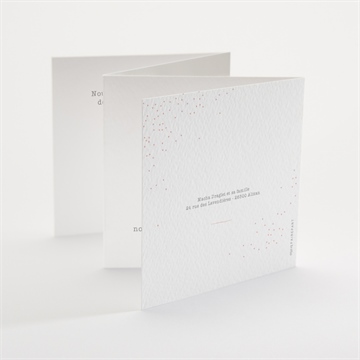 Faire-part naissance tendre lapin accordéon - Dos du faire-part