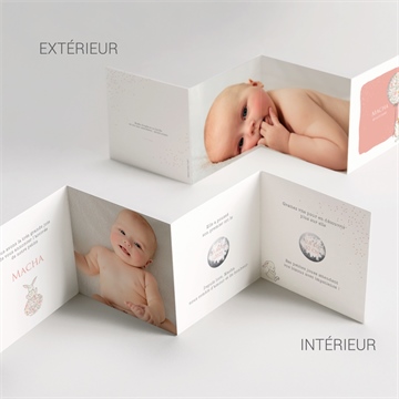 Faire-part naissance tendre lapin accordéon - Vue d'ensemble