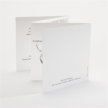 Faire-part naissance mon petit pola accordéon - Dos du faire-part