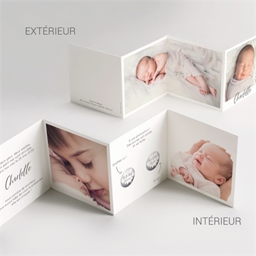 Faire-part naissance mon petit pola accordéon - Vue d'ensemble