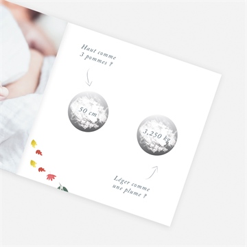 Faire-part naissance petit roi accordéon - vue zoomée