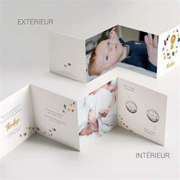 Faire-part naissance petit roi accordéon - Vue d'ensemble
