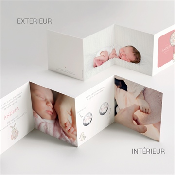 Faire-part naissance poésie aimantée accordéon - Vue d'ensemble