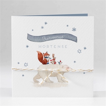 Faire-part naissance compagnons polaires carré plié