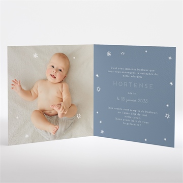 Faire-part naissance compagnons polaires carré plié - Intérieur du faire-part