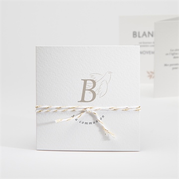 Faire-part communion le sacrement accordéon