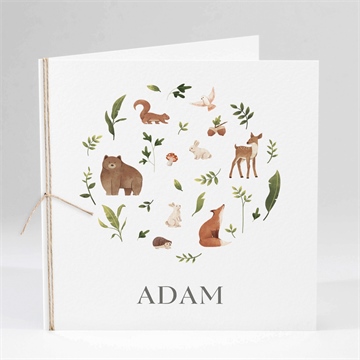 Faire-part naissance compères carré plié