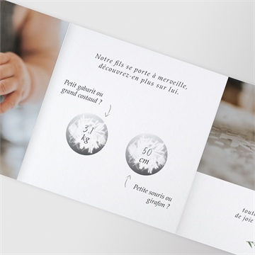 Faire-part naissance chouchou accordéon - Détail du faire part