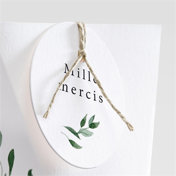 Boîte de dragées mariage a l'ombre de l'olivier étui - Détail de la boîte