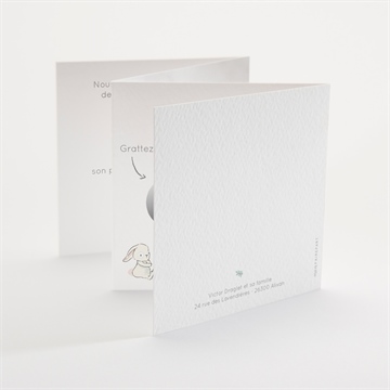 Faire-part naissance mon petit lapin accordéon - Dos du faire-part