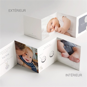 Faire-part naissance mon petit lapin accordéon - Vue d'ensemble