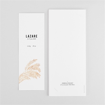 Faire-part naissance belle alcôve photomaton - Dos du faire-part