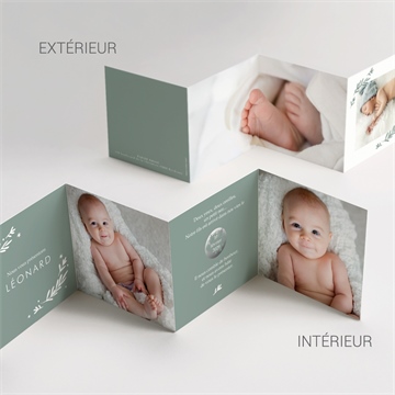 Faire-part naissance végétal vert pastel accordéon - Vue d'ensemble