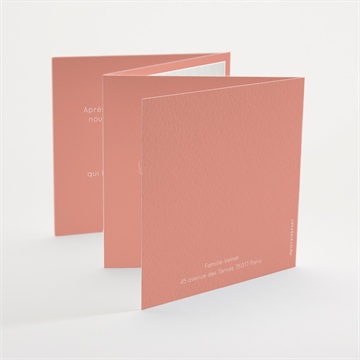 Faire-part naissance sa clarté accordéon - Dos du faire-part