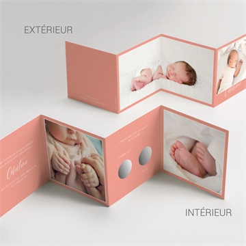 Faire-part naissance sa clarté accordéon - Vue d'ensemble
