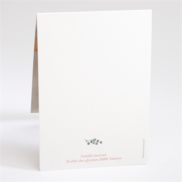 Faire-part naissance jolie pampa pli décalé - Dos du faire-part