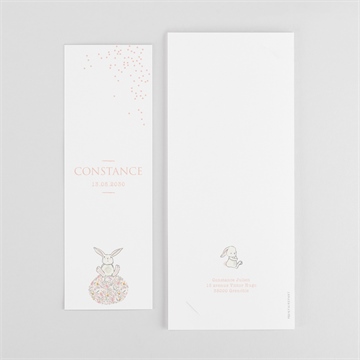 Faire-part de baptême lapin baptême photomaton - Dos du faire-part