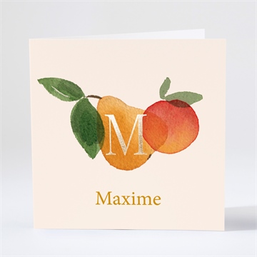 Faire-part naissance cocktail fruité pliée