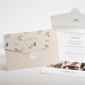 Faire-part naissance sur un arbre perché enveloppe