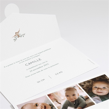 Faire-part naissance sur un arbre perché enveloppe - Intérieur du faire-part