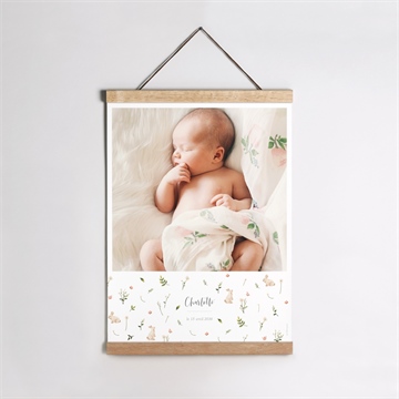 Affiche naissance champetre