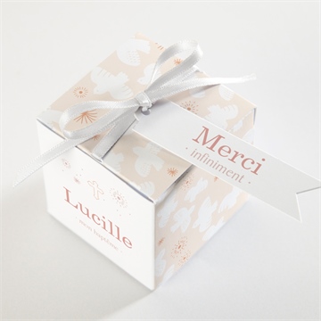 Boîte de dragées baptême l'envolée - Dessus de la boîte