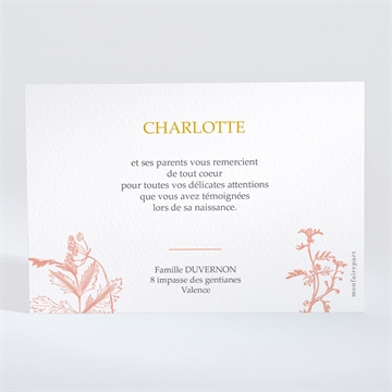 Remerciement naissance notre joie - Dos de la carte