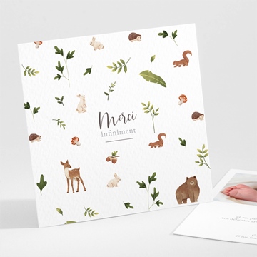 Remerciement naissance joyeux compères