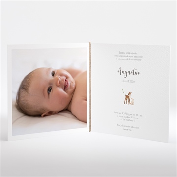 Faire-part naissance joyeux compères carré plié - Intérieur du faire-part