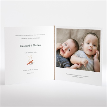 Faire-part naissance jumeaux & animaux - Intérieur du faire-part