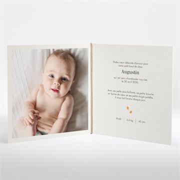 Faire-part naissance mon beau renard - Intérieur du faire-part