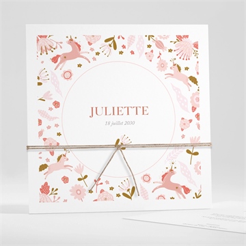Faire-part naissance licornes ficelle
