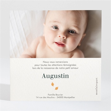 Remerciement naissance mon beau renard - Dos de la carte