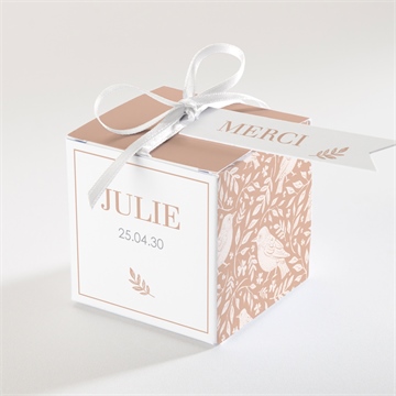 Boîte de dragées baptême mes petits oiseaux