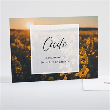 Carte recto-verso - paysage 