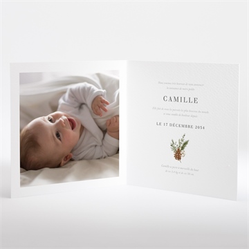 Faire-part naissance douceur d'hiver - Intérieur du faire-part