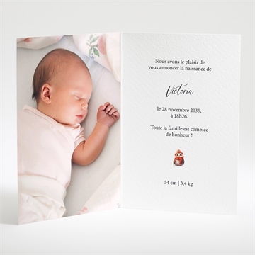 Faire-part naissance oiseau d'hiver - Intérieur du faire-part