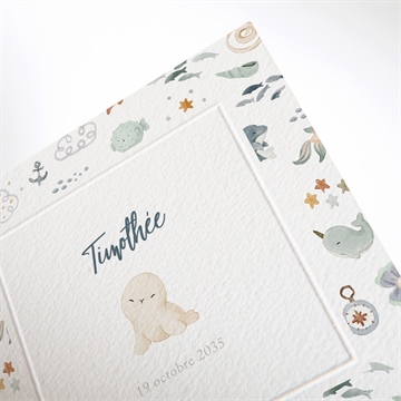 Faire-part naissance poisson - Détail du faire-part