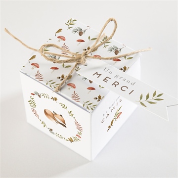 Boîte de dragées baptême renardeau - Dessus de la boîte