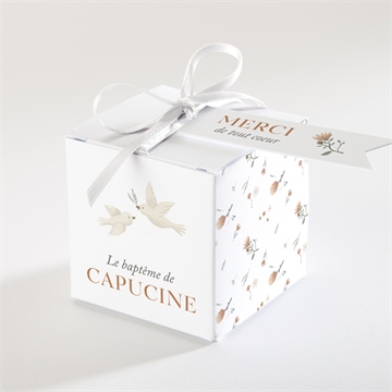 Boîte de dragées baptême douces colombes