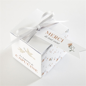 Boîte de dragées baptême douces colombes - Dessus de la boîte