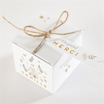 Boîte de dragées baptême nounours - Dessus de la boîte