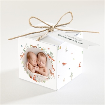Boîte de dragées baptême forêt